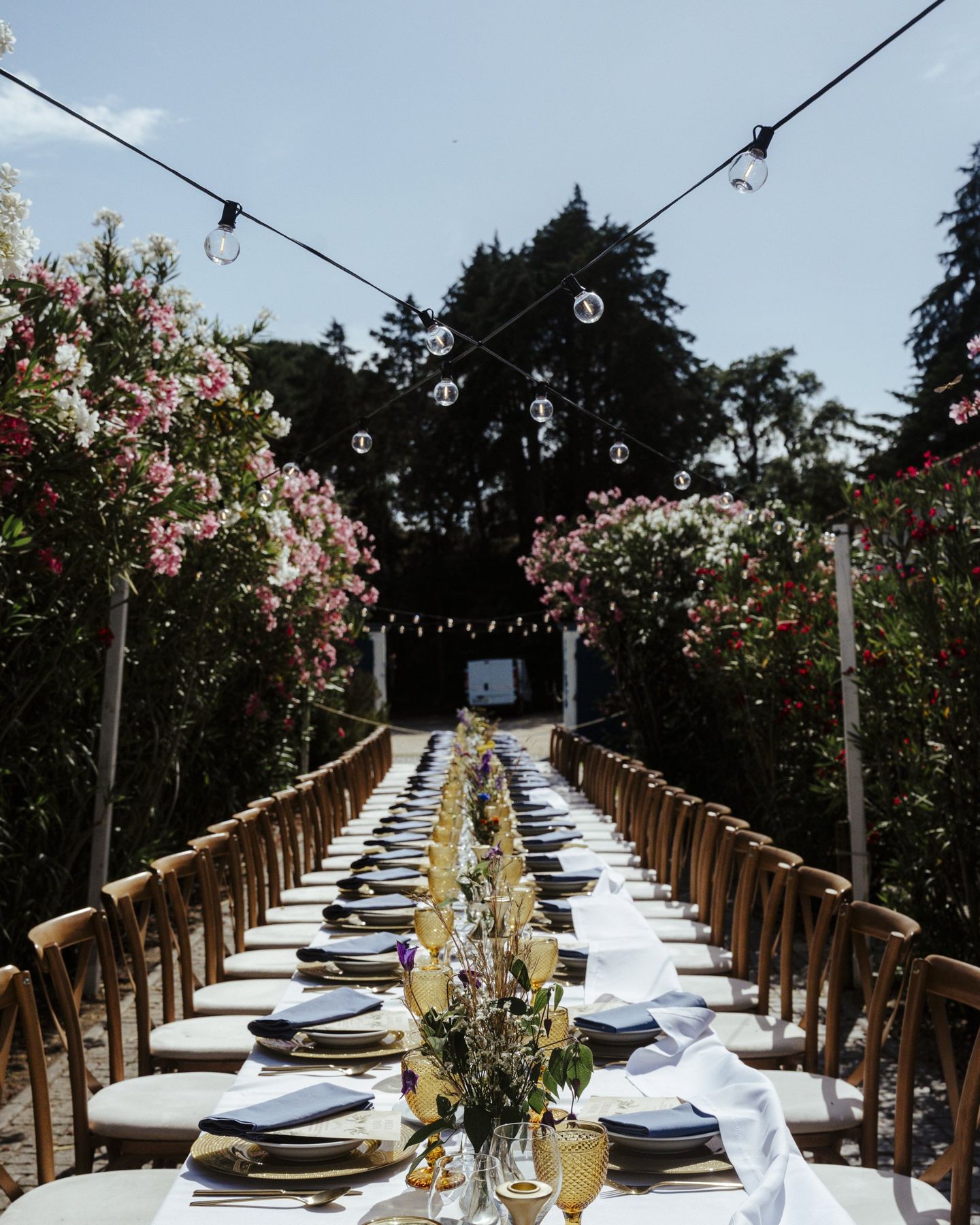 Mesa de casamento sob grinaldas de luzes